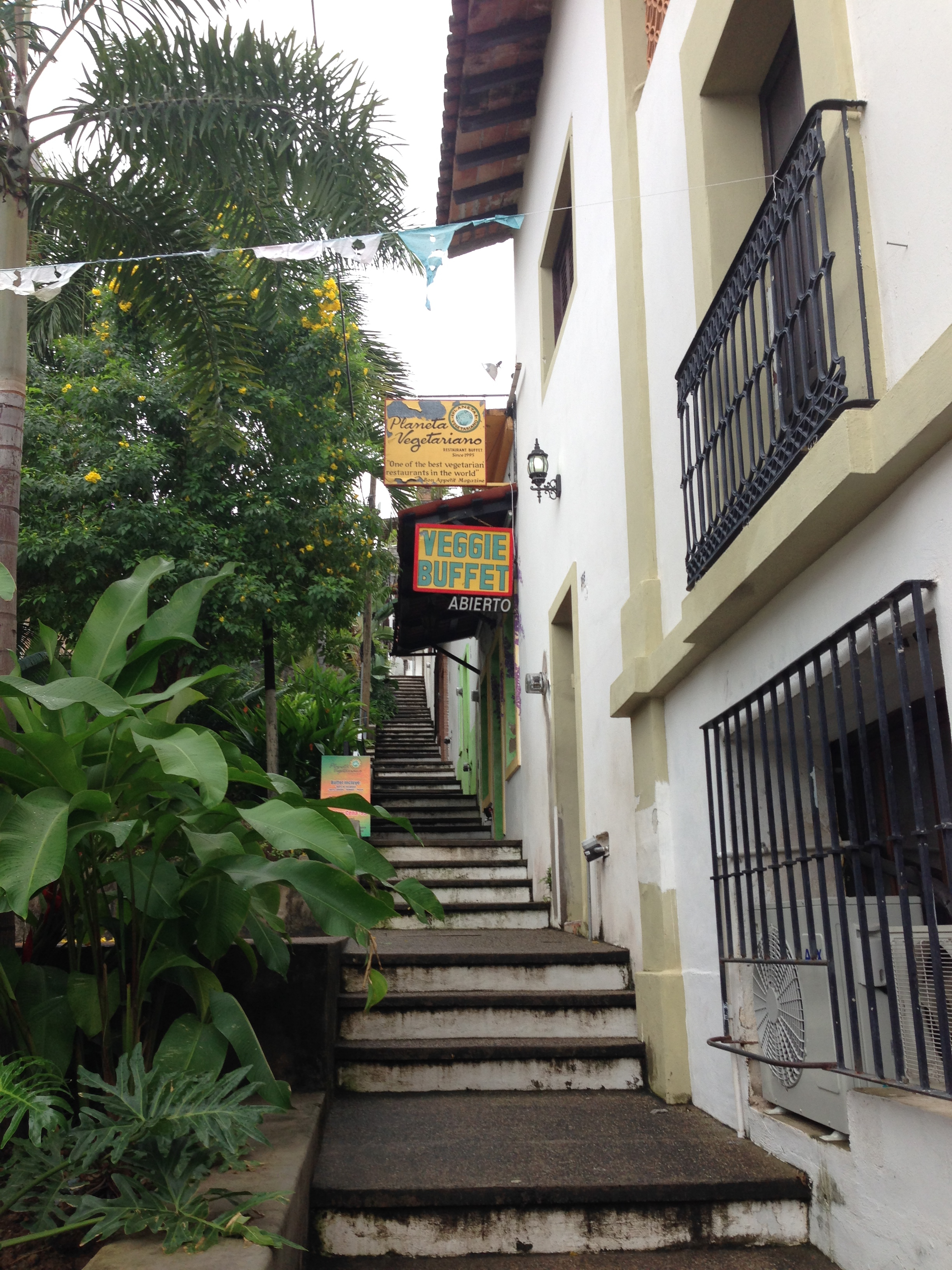 Restaurante Planeta Vegetariano, México en Puerto Vallarta